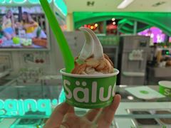 -Salud撒露欧洲冻酸奶(五道口购物中心店)