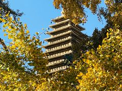 -北京石刻艺术博物馆(五塔寺)
