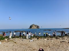 -棒棰岛宾馆景区