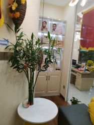 -芳朵美容养生SPA