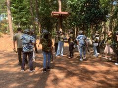 -铁山坪森林公园