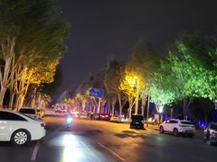 -廊坊固安福朋喜来登酒店
