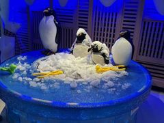 -北方暖暖温泉洗浴(沈阳北站店)
