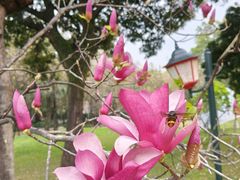 -烈士陵园(地铁站)