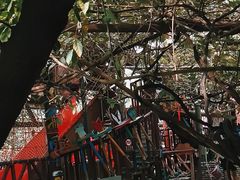 -呀路古热带植物园