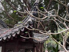 -深圳国际园林花卉博览园