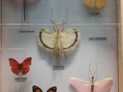 -大连自然博物馆