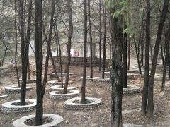 景点-北京鹫峰国家森林公园