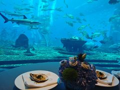 -OSSIANO奥西亚诺海底餐厅