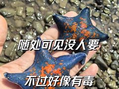 -灵山岛风景区