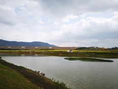 -光明小镇欢乐田园