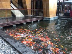 -三亚湾海居铂尔曼度假酒店