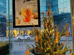 -Wagas沃歌斯(环贸店)
