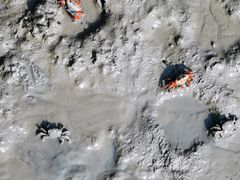 -北海金海湾红树林生态旅游区