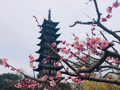 -上海方塔园