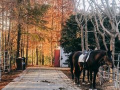 -上海海湾国家森林公园