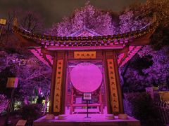 -绳金塔