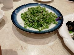 -紫光园(顺义店)