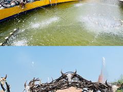 -呀路古热带植物园