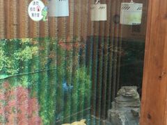 -上海大自然野生昆虫馆(东方明珠·爬宠昆虫探索中心)