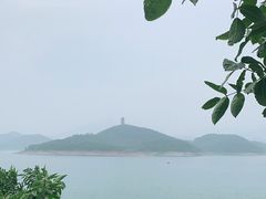 -望湖烤鱼