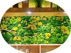 -森味花园·日本料理(伊藤洋华堂亚运村店)