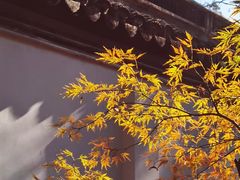 -秋霞圃