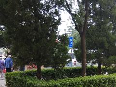 -大海碗·京菜炸酱面(雍和宫店)