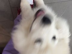 -联合动物医院(光谷诊疗中心)
