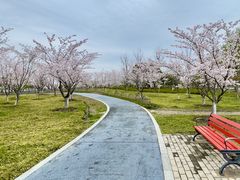 -阳澄湖半岛旅游度假区