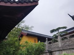-鸡鸣赐茶(鸡鸣寺路店)