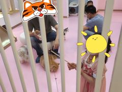 -爪爪喵星球·猫舍(前海卓越店)