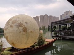 -洋湖国家湿地公园