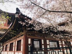 -西安青龙寺遗址景区
