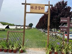-曲江薰衣草庄园