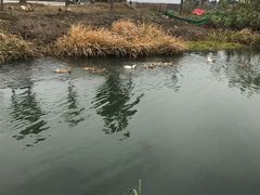 -乡乐园蟹庄·阳澄湖农家乐