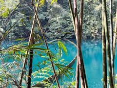 -鼎湖山风景区