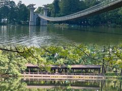 -东湖落雁景区