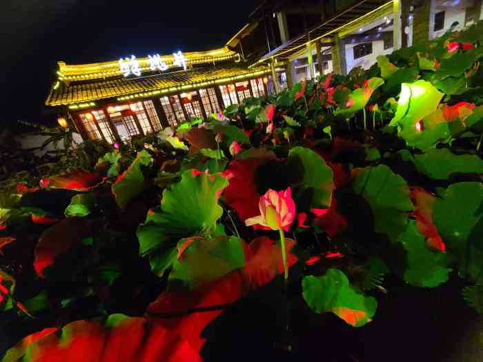 鲜龙井火锅公园(南山店)