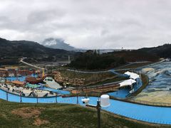 -瓷天下海丝谷