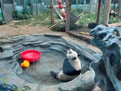 -大连森林动物园