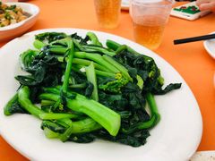 -莲湖山庄