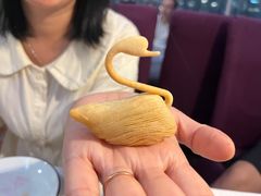 -云中小雅