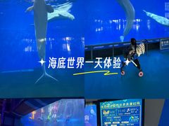 -泉城欧乐堡海洋极地世界