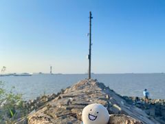 -上海滨江森林公园
