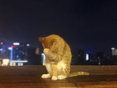 -萨芭蒂高空花园餐酒吧