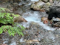 -西岭雪山大飞水景区