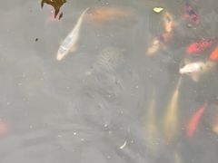-苏州碑刻博物馆