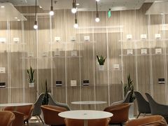 大堂-奈雪的茶(市百一店)