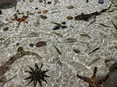 -福州罗源湾海洋世界旅游区